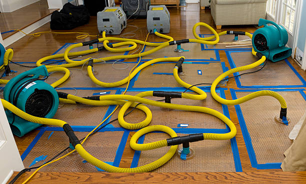 Professional Water Extraction technician working in Burnham, IL